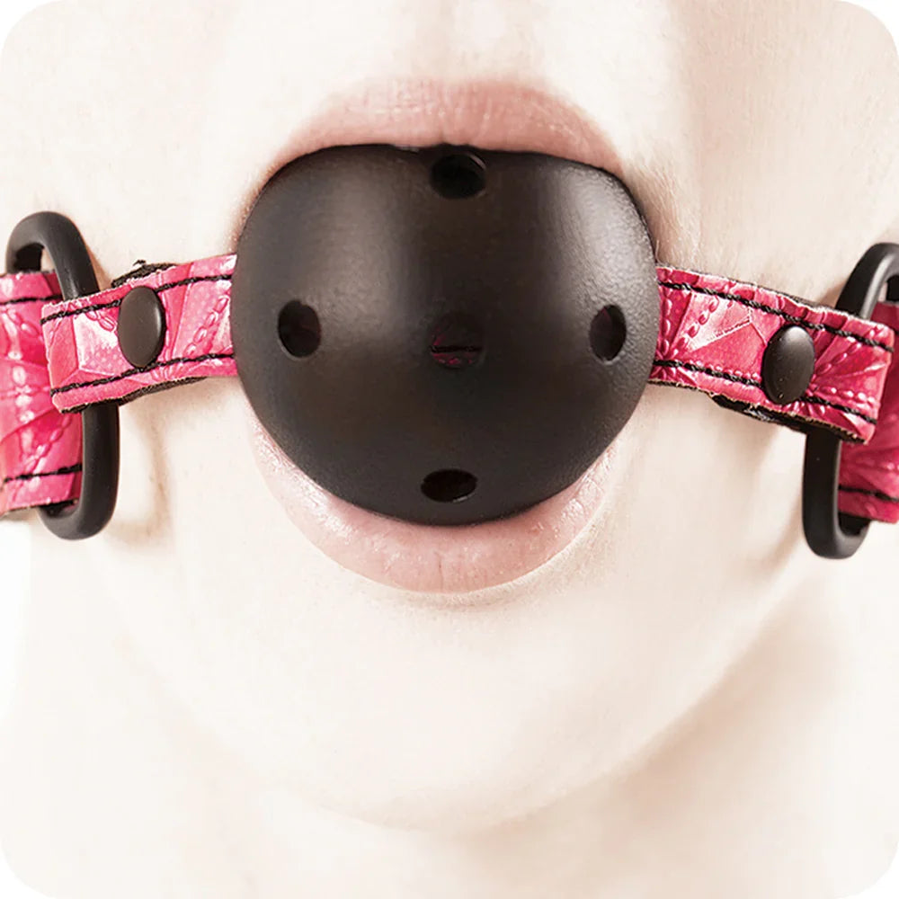 Sinful Ball Gag in Pink – Edmonton – packaging view