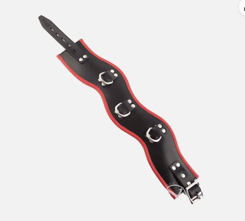 Rouge Posture Adjustable Collar 3 Ring - Black/Red — buy in Edmonton | Heaven Boutique