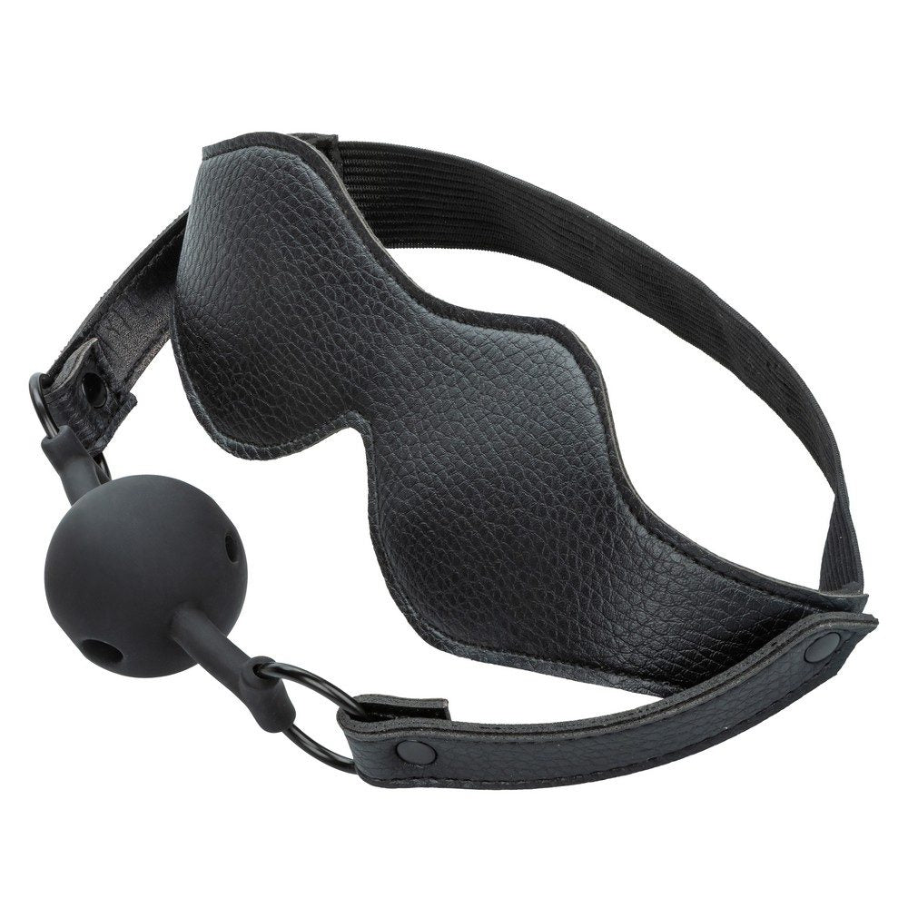 Nocturnal Collection Mask & Ball Gag — photo 4