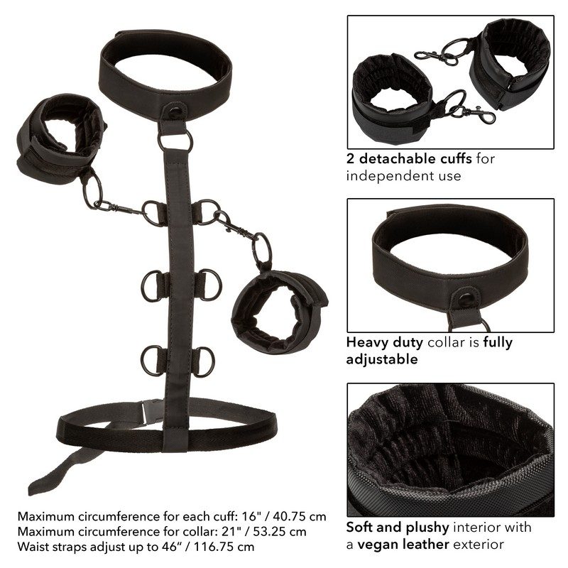Boundless Collar Restraint — photo 3
