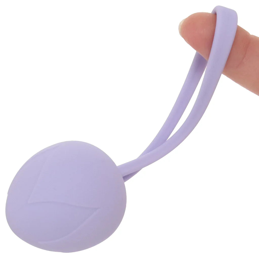 Loveline Pelvifit Berry Kegel Kit – Edmonton – packaging view