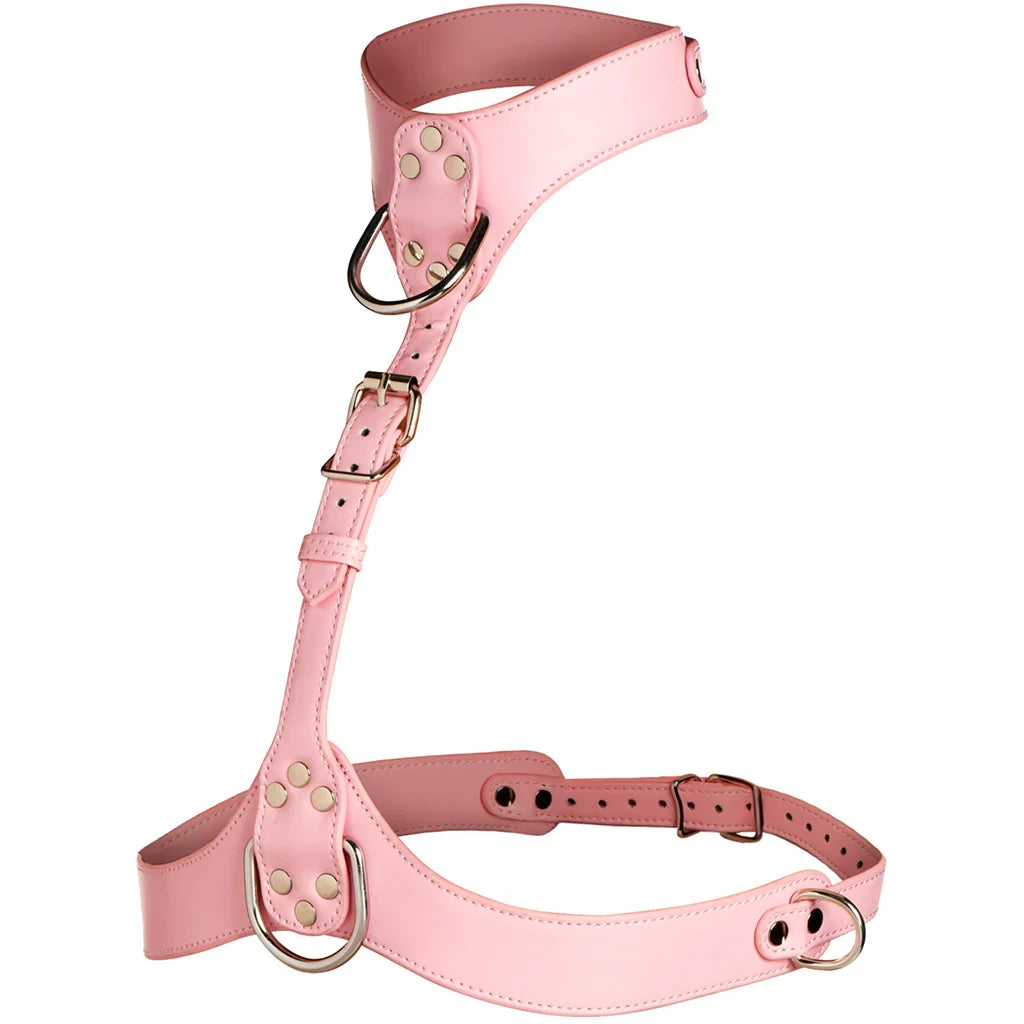 Master Series Vixen Chest Harness in Pink – Edmonton adult store – close-up view