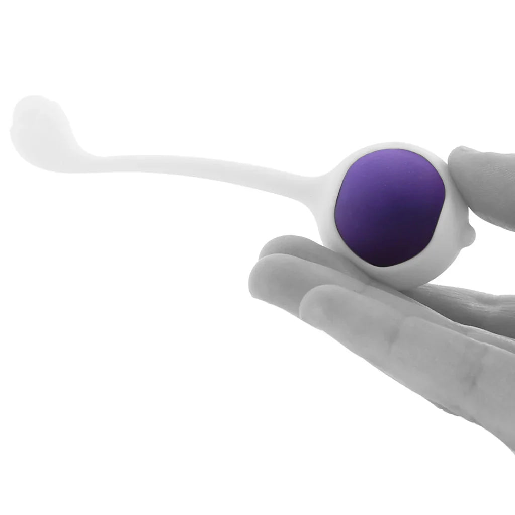 Wellness 3 Step Progressive Kegel Training Kit – Edmonton adult store – close-up view