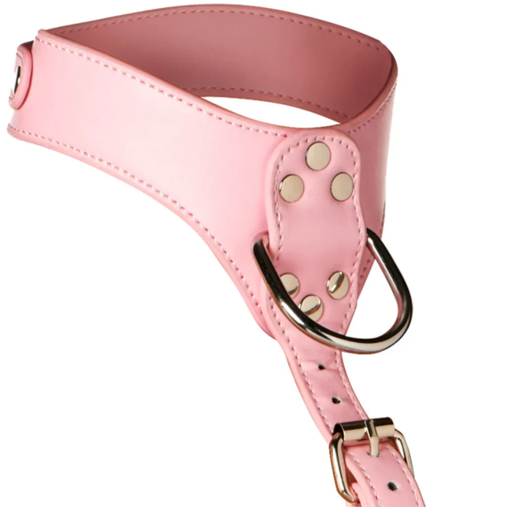 Master Series Vixen Chest Harness in Pink – Edmonton – packaging view