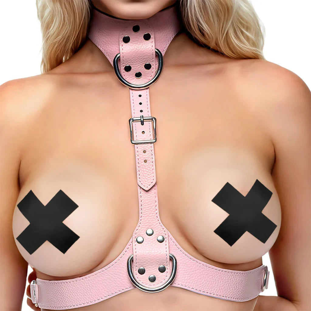 Master Series Vixen Chest Harness in Pink – Edmonton adult boutique – features
