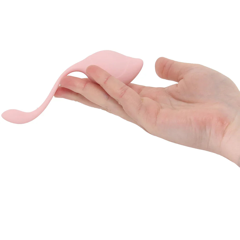 Loveline Pelvifit Stem Kegel Kit – Edmonton adult boutique – features