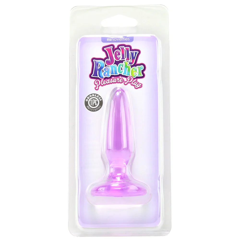 Jelly Rancher Mini Pleasure Plug in Purple — buy in Edmonton | Heaven Boutique