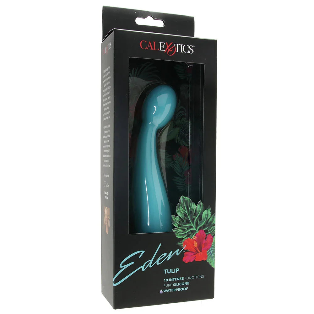 Eden Silicone Tulip Vibe in Teal — buy in Edmonton | Heaven Boutique