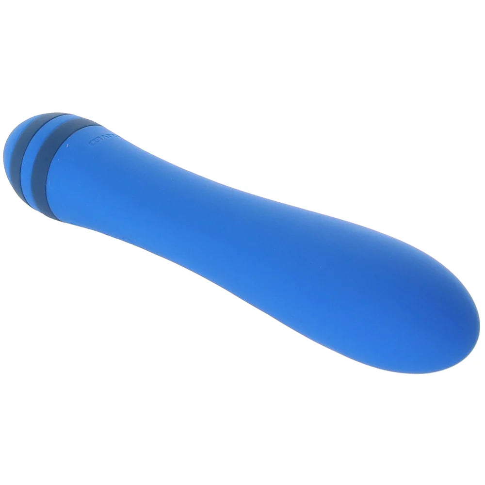 The Pleaser Vibe – Edmonton adult boutique – features