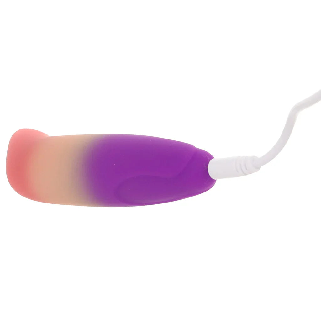 Play With Me Dolphin Dreams G-Spot Vibe Edmonton – product detail