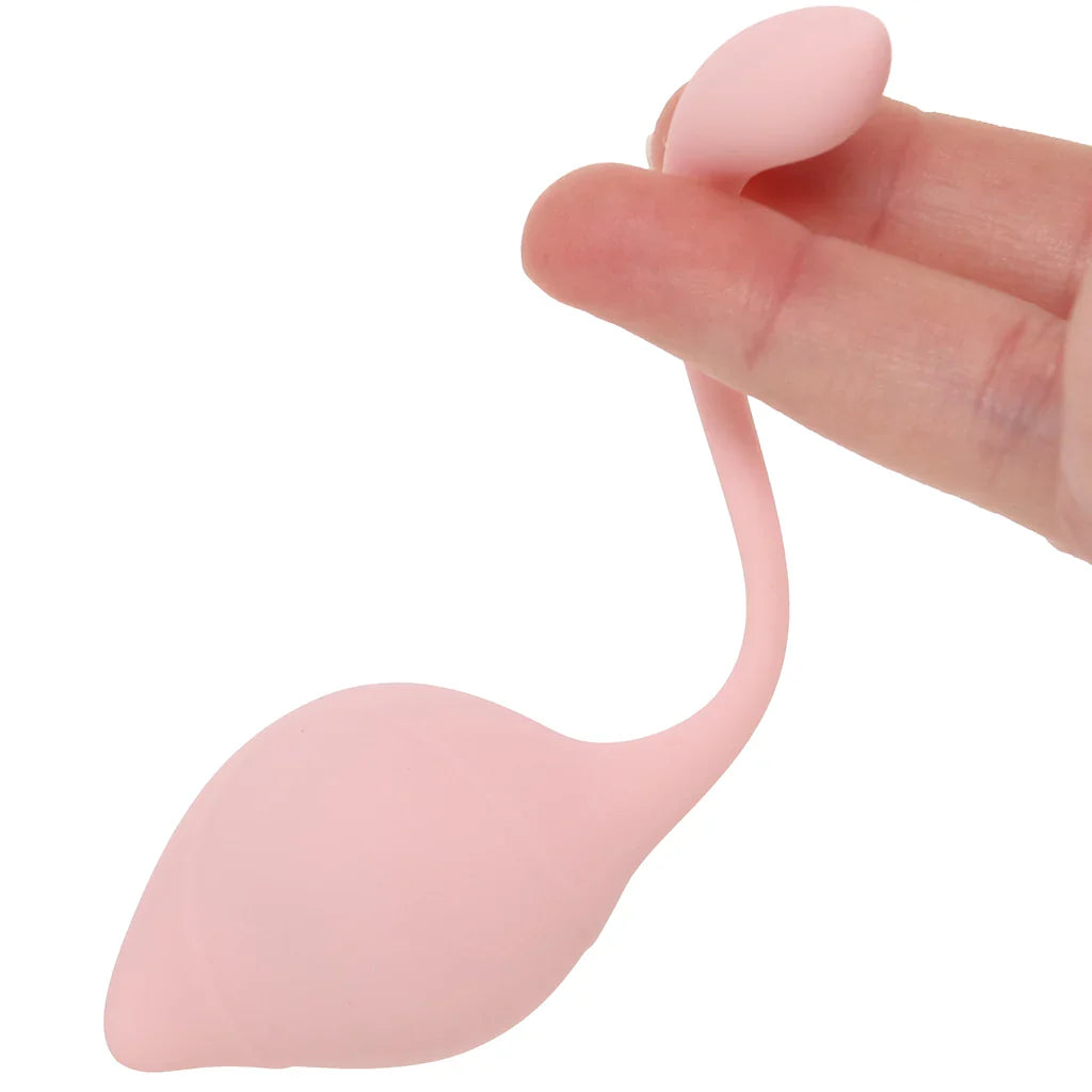 Loveline Pelvifit Stem Kegel Kit – Heaven Boutique Edmonton – additional angle
