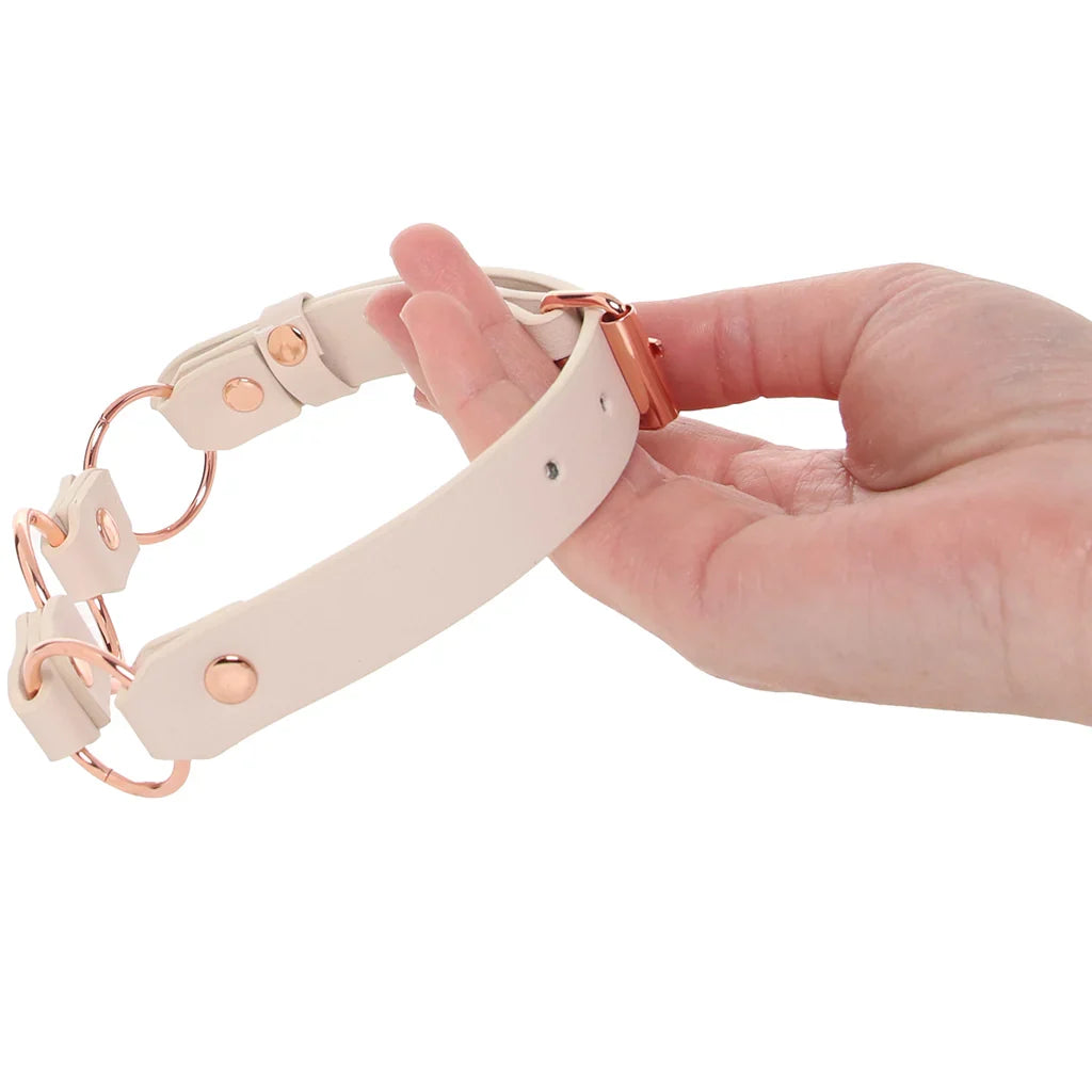 S&M Peaches 'n CreaMe Ring Day Collar Edmonton – product detail