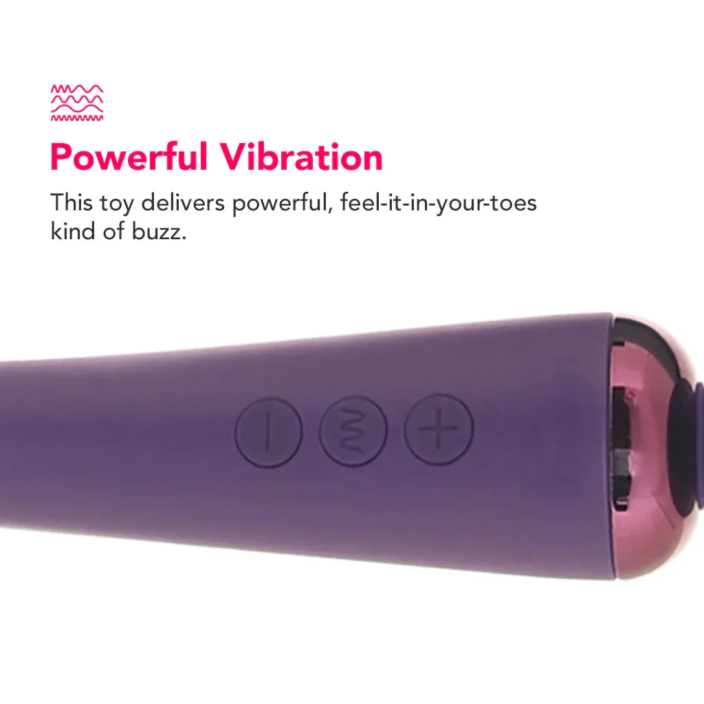 Love Distance Grasp App Controlled Wand – Edmonton adult boutique – features