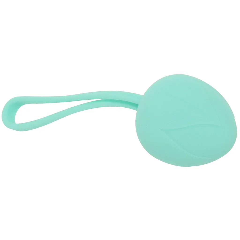 Loveline Pelvifit Berry Kegel Kit – Edmonton adult shop – in use view
